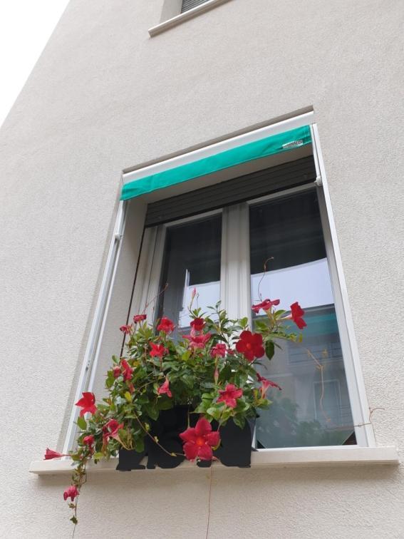 A Casa Di Elsa Apartamento Castenaso Exterior foto